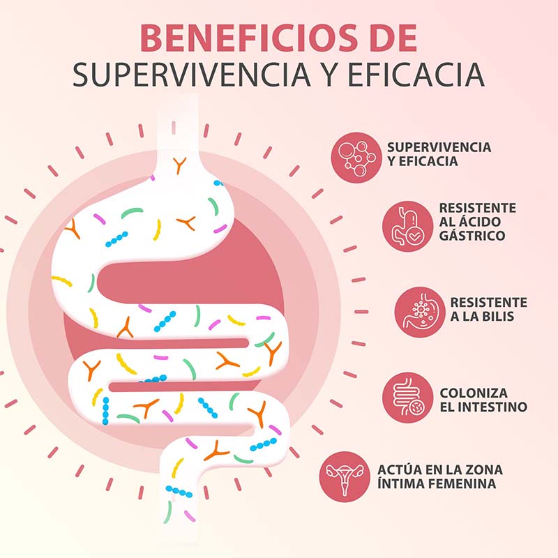 Cápsulas PROBIOTICOS MUJER: ay - Probiotics Women Health reseña y precio